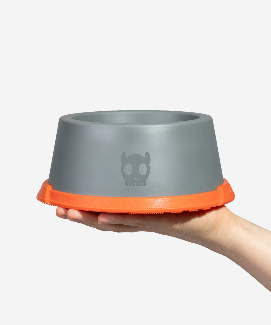 zee-dog-x-reebok-suede-gamelle-pour-chien