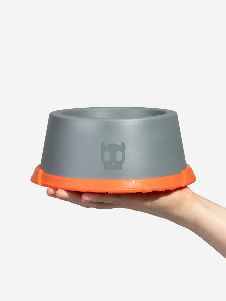 zee-dog-x-reebok-suede-gamelle-pour-chien