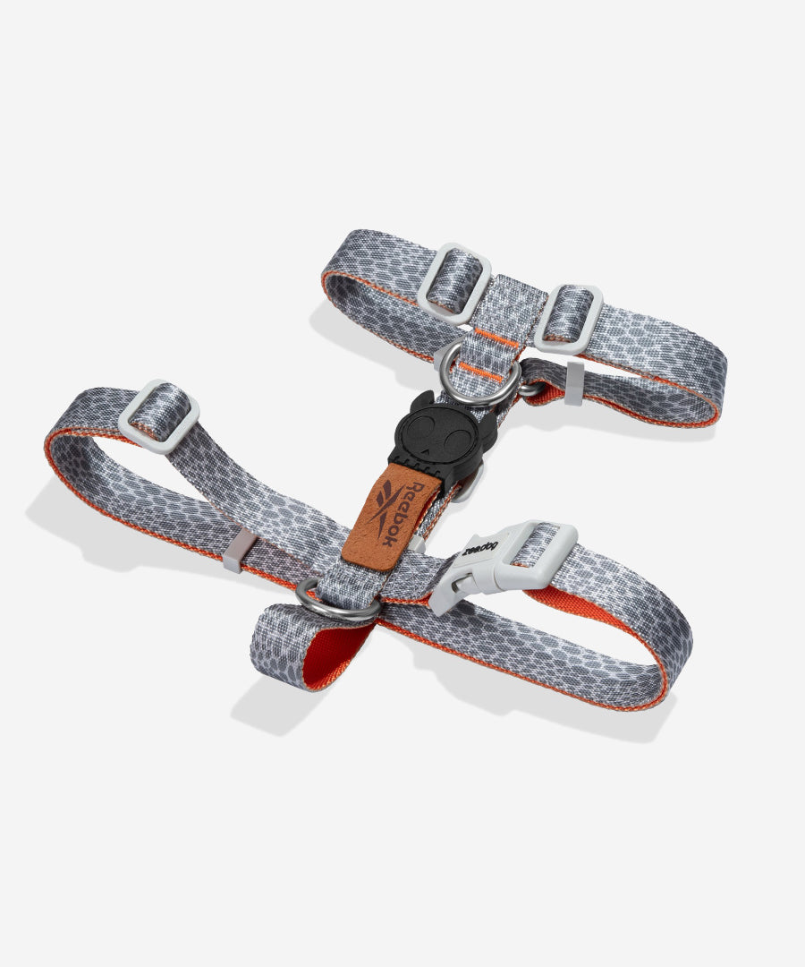 zee-dog-x-reebok-suede-harnais-en-h-pour-chien