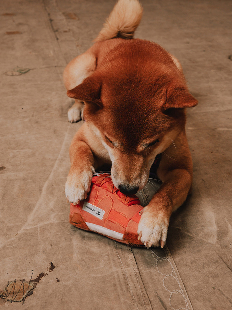 zee-dog-x-reebok-suede-jouet-basket-peluche-pour-chien