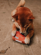 zee-dog-x-reebok-suede-jouet-basket-peluche-pour-chien