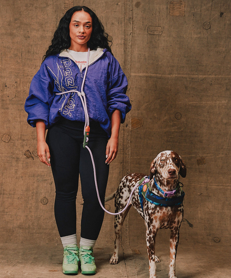 zee-dog-x-reebok-trekk-laisse-pour-chien-main-libre-reglable