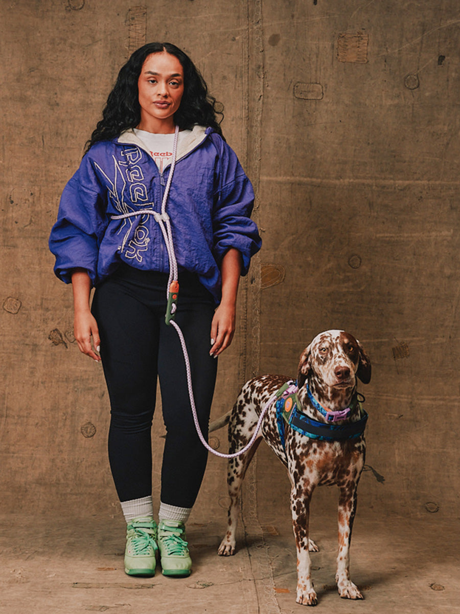 zee-dog-x-reebok-trekk-laisse-pour-chien-main-libre-reglable