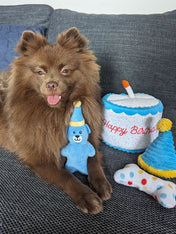         zippy-paws-Burrow-peluche-pour-chien-gateau-anniversaire