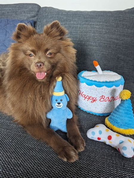         zippy-paws-Burrow-peluche-pour-chien-gateau-anniversaire