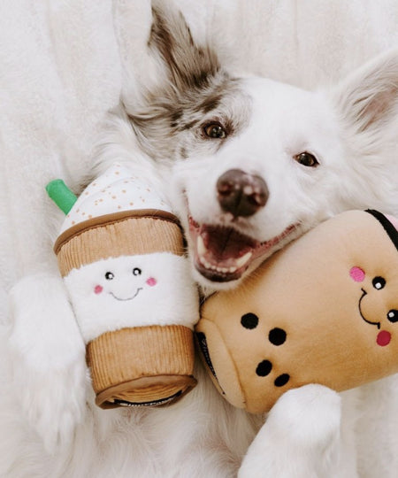        zippy-paws-NomNomz-peluche-pour-chien-Puppuccino