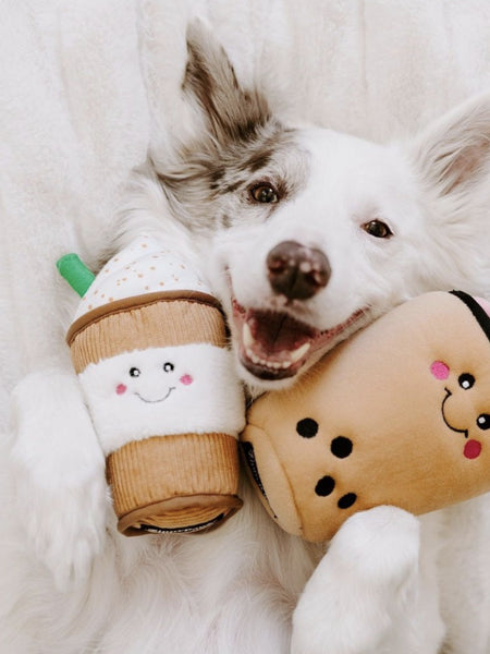        zippy-paws-NomNomz-peluche-pour-chien-Puppuccino