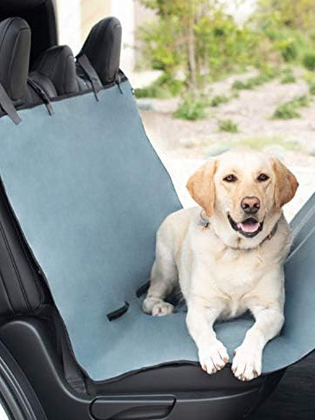 Accessoires auto pour le confort et la sécurité des chiens - trucs &  astuces - chien - SantéVet