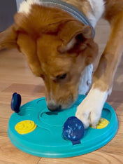       zippy-paws-jouet-puzzle-interactif-pour-chien-Smarty-Paws-Puzzler