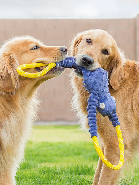 zippy-paws-peluche-pour-chien-singe