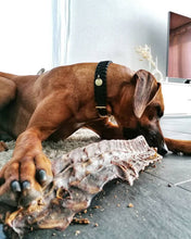       PAUL-PAULINA-friandise-mastication-naturelles-chien-ribs-cerf