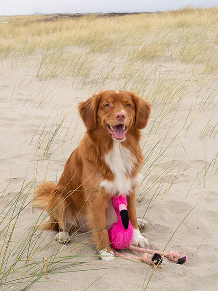 becopets-Peluche-pour-chien-eco-friendly-Flamant-rose-Fernando