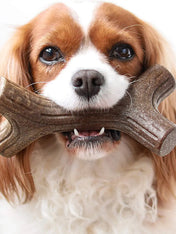 Benebone-jouet-a-macher-pour-chien-bacon-stick