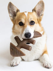   Benebone-jouet-a-macher-pour-chien-fishbone