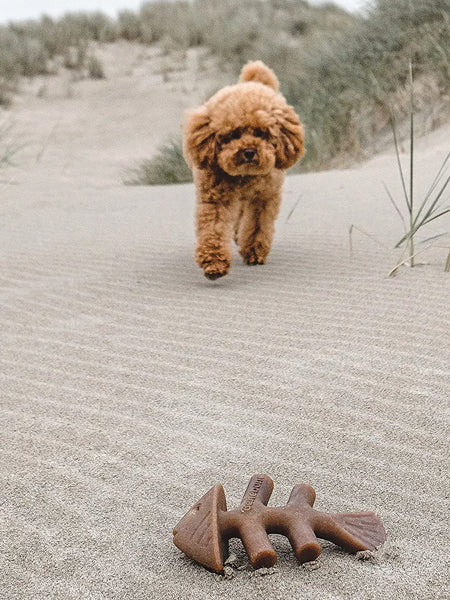    Benebone-jouet-a-macher-pour-chien-fishbone