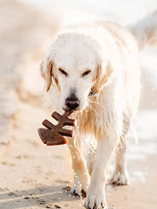    Benebone-jouet-a-macher-pour-chien-fishbone