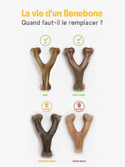     Benebone-jouet-a-macher-pour-chien-wishbone-beurre-de-cacahuete