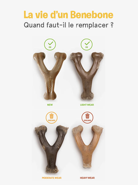     Benebone-jouet-a-macher-pour-chien-wishbone-beurre-de-cacahuete
