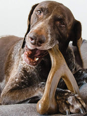     Benebone-jouet-a-macher-pour-chien-wishbone-bacon