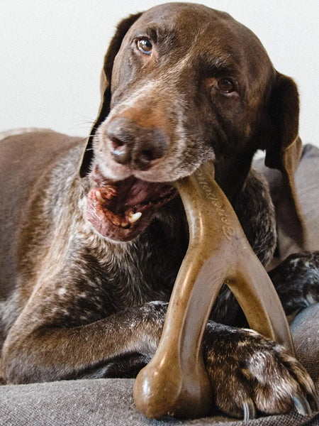     Benebone-jouet-a-macher-pour-chien-wishbone-bacon