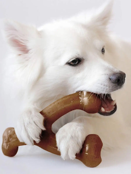     Benebone-jouet-a-macher-pour-chien-wishbone-poulet