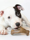     Benebone-pack-2-jouets-a-macher-pour-chiot-Dental-Chew-Wishbone