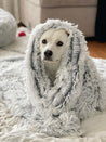     Best-Friend-by-Sheri-plaid-ultra-confort-doux-pour-chien-gris