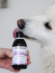        Biogance-complements-alimentaires-naturels-chien-KERA_BEAUTE-PEAU-POIL