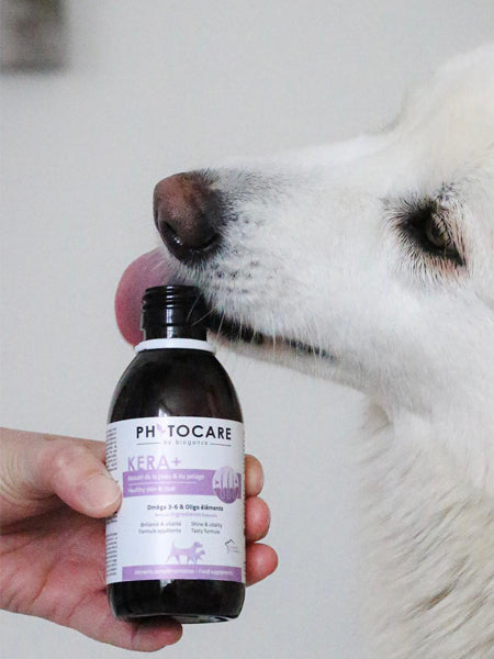        Biogance-complements-alimentaires-naturels-chien-KERA_BEAUTE-PEAU-POIL