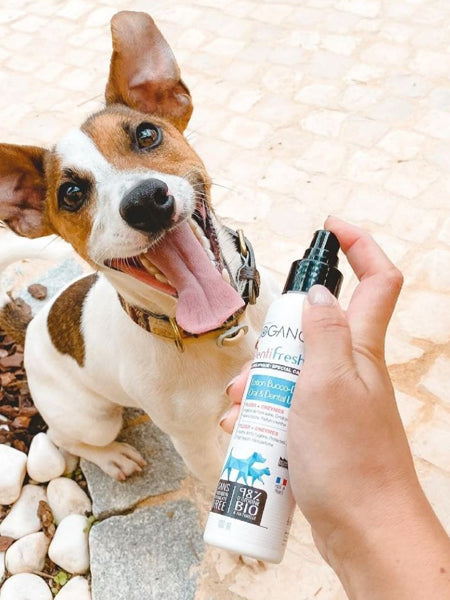       Biogance-soins-dentaire-naturels-chien-denti-fresh