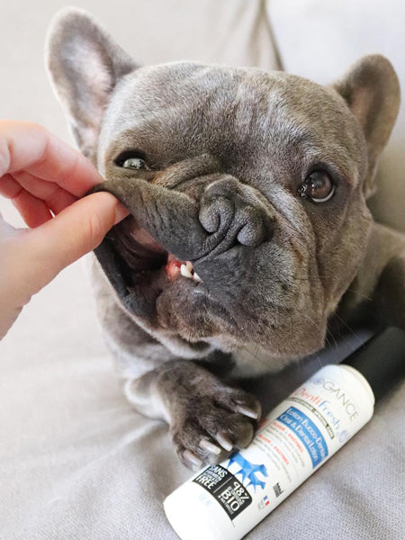       Biogance-soins-dentaire-naturels-chien-denti-fresh