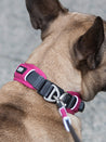 DOG-Copenhagen-collier-pour-chien-resistant-urban-explorer-rose