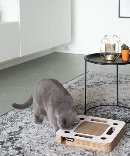 District70-grattoir-carton-pour-chat-design