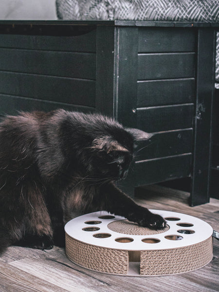 District70-jouet-griffoir-carton-pour-chat-design