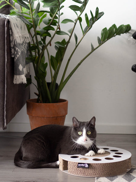 District70-jeu-griffoir-carton-pour-chat-design