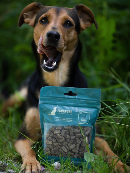    Escapure-friandises-premium-qualite-pour-chien-canard