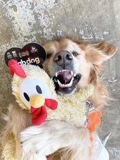    Fabdog-jouet-peluche-chien-poulet-Fluffy-Chicken