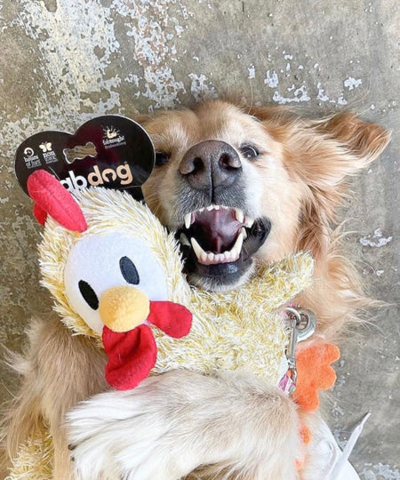    Fabdog-jouet-peluche-chien-poulet-Fluffy-Chicken