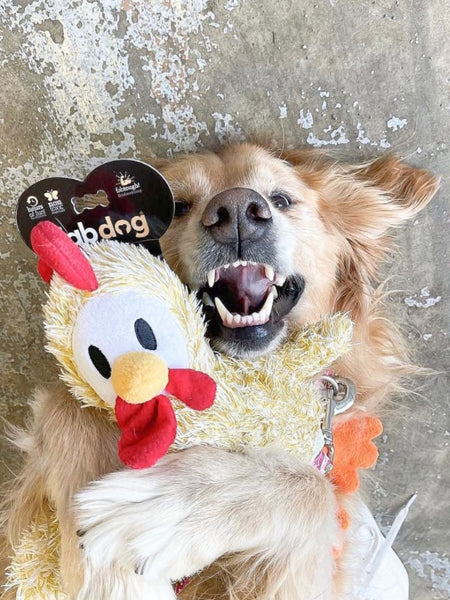    Fabdog-jouet-peluche-chien-poulet-Fluffy-Chicken