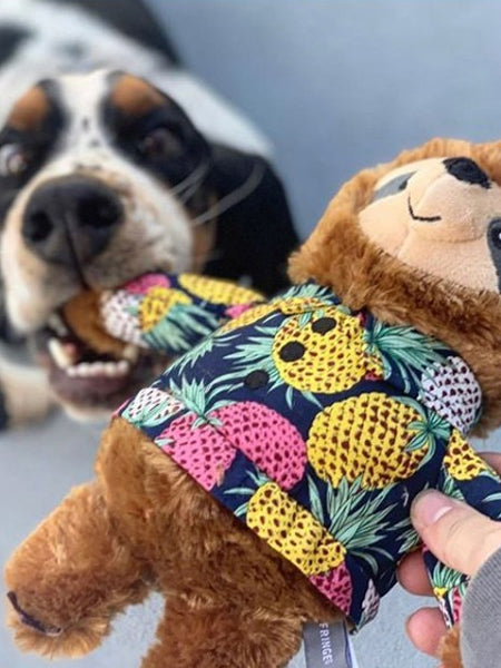     Fringe-petshop-peluche-design-chien-289359-Vacay-Vibes-Sloth
