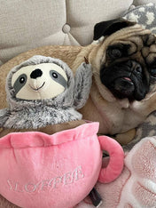        Fringe-petshop-peluche-design-chien-289376-Sloffee