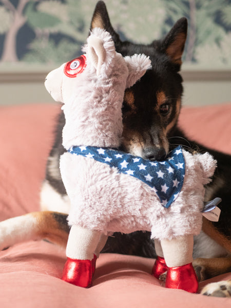        Fringe-petshop-peluche-design-chien-289628-Super-Llma