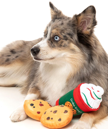     Fuzzyard-peluche-pour-chien-noel-cookie-latte
