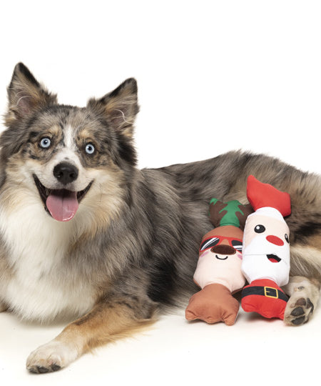    Fuzzyard-peluche-pour-chien-noel-crackers-Shake-Your-BonBons