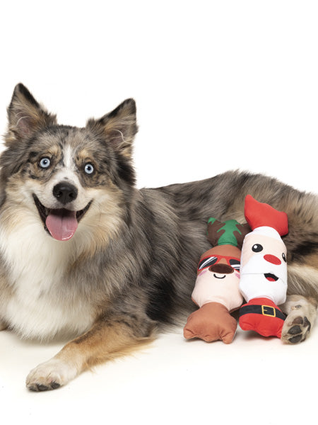    Fuzzyard-peluche-pour-chien-noel-crackers-Shake-Your-BonBons