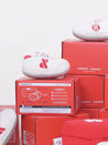     Howlpot-jouet-interactif-petit-moyen-chien-boite-chaussure-shoes-box
