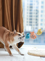        HugSmart-peluche-en-corde-pour-chien-chiot-coquillages