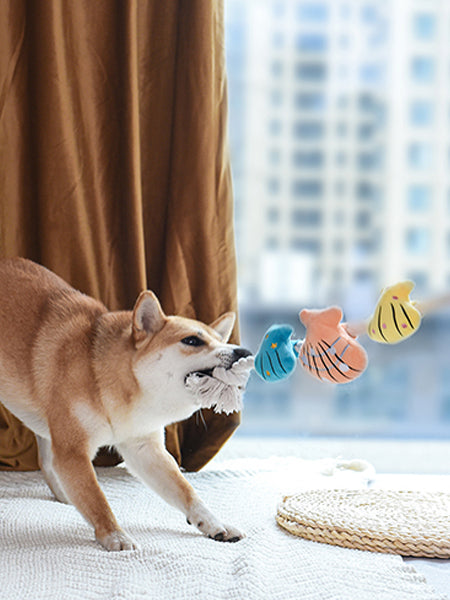        HugSmart-peluche-en-corde-pour-chien-chiot-coquillages