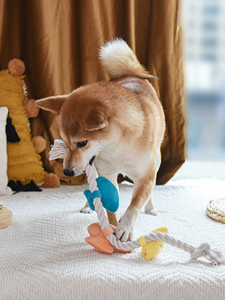        HugSmart-peluche-en-corde-pour-chien-chiot-coquillages