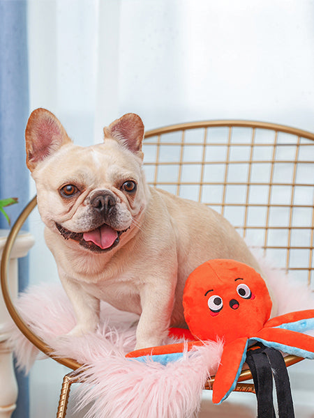    HugSmart-peluche-interactive-fouille-pour-chien-chiot-calamar